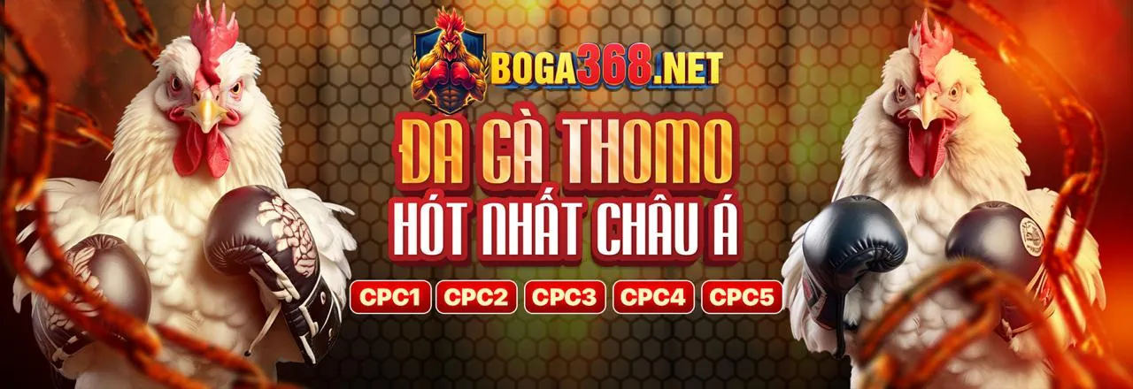 Các trò chơi casino đa dạng tại rik88