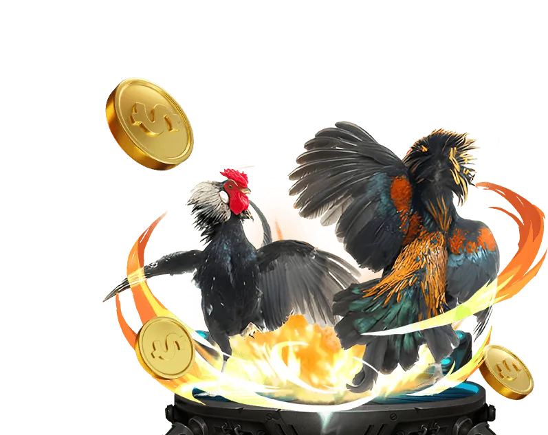 Các chương trình khuyến mãi casino rik88